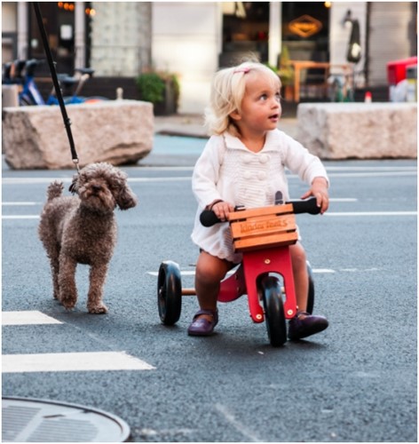 Kinderfeets Fahrradkiste aus Holz-3
