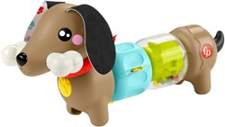 Fisher-Price sensorisches Spielzeug Hund - Lernspielzeug Motorik Baby