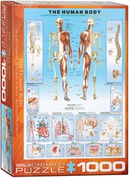 Eurographics Puzzle The Human Body - 1000 Teile