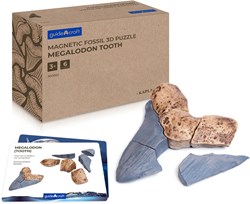 Guidecraft Magnetisches Spielzeug Fossilien 3D Puzzle Megalodon Zahn