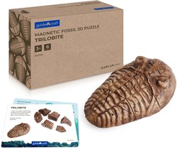 Guidecraft magnetisches Fossil 3D Puzzle Trilobit Spielzeug