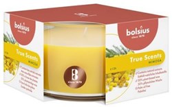Bolsius Geur stompkaars 50/80 Mimosa