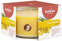 Bolsius Duftkerze Mimosa Blütenduft - dekorative Stumpenkerze gelb