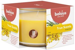 Bolsius Duftkerze Mimosa Blütenduft - dekorative Stumpenkerze gelb