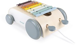 Janod - Xylo Roller aus Holz - Sweet Cocoon Kollektion - Musikalisches Kleinkindspielzeug Farbe auf Wasserbasis - Spielzeug zum Ziehen - Ab 18 Monaten, J04406