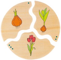 Beleduc Nawito Natur Evolution Holzspielzeug Lernspiel für Kinder-3