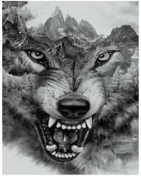 Twisk Diamond painting Wolf 30x40cm