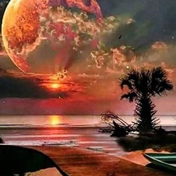 Twisk Diamond painting Sunset 4050/104