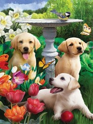 Diamantmalerei Hunde DL4050/133
