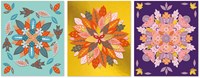 Janod Atelier - Naturmandalas-2