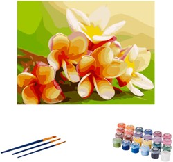 Malen nach Zahlen Blume PNB5166