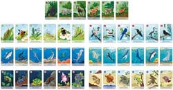Janod WWF Spiel Das Tierreich Happy Family