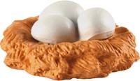 Chicken life cycles-2