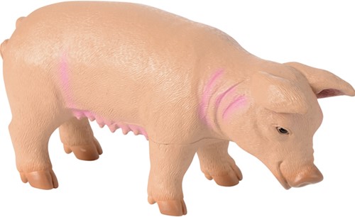 Eduplay Bauernhof Tiere Spielzeug Set - Riesen Tierfiguren 5 Stück-2