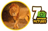 Animal World Slide Viewer Viewer 35622A-3