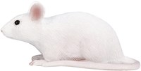 Mojo Pets Spielzeug Maus - 387235-2