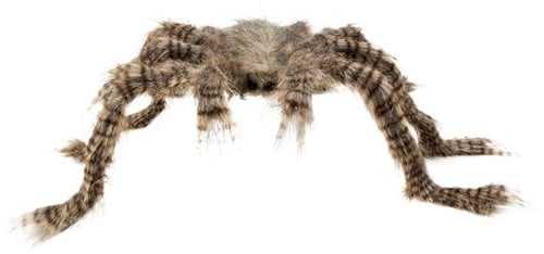 Haarige Spinne 74408