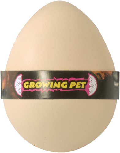 Growing eggs dinosaurs