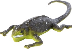 Lizard with colour change