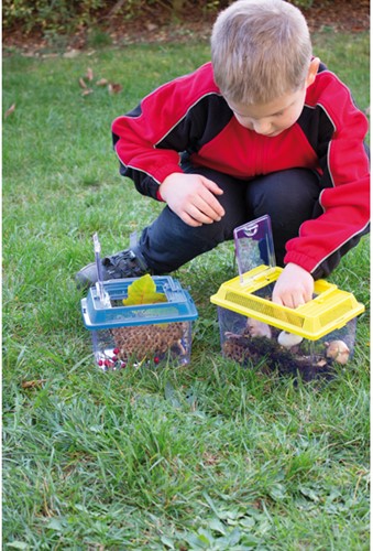 Eduplay Insektenbox - Lernspielzeug für kleine Entdecker-2