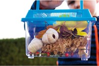 Eduplay Insektenbox - Lernspielzeug für kleine Entdecker-3