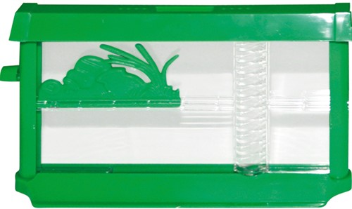 Ant's farm-2