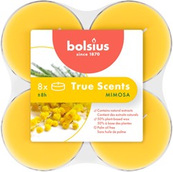 Bolsius Duft-Teelichter Maxi Mimosa 8 Stück - lange Brenndauer
