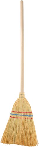 Witch broom