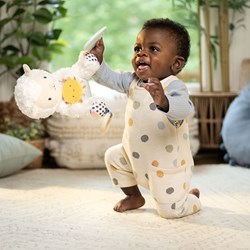 Ingenuity Kuscheltier Spielzeug Calm Springs Activity Pal Sheppy Baby