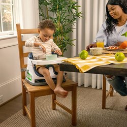 Ingenuity 2-in-1 Kindersitz Sitzerhöhung multicolor - Babysitz ab 6 Monaten