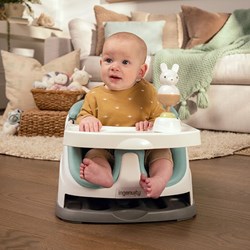 Ingenuity Baby Sitzverkleiner 2-in-1 Sitz - Mist - multifunktional