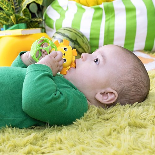 Oball Beißspielzeug Baby Soother Pals Easy-Grasp - mehrfarbig-3