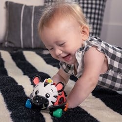 Baby Einstein Spielzeugauto Curious Car Zen Oball Rassel - mehrfarbig