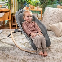 Ingenuity Baby Schaukelstuhl Every Season Wesley mit Holzspielzeug-3
