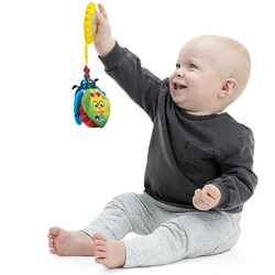 Baby Einstein Sensorik Spielzeug Buggy - Touch of Nature - mehrfarbig