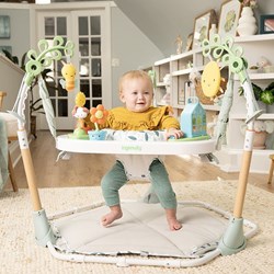 Tummy to Toes 6-in-1 Milestones Center
