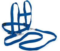 Horse harness-3