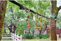Ninja Line Set-3