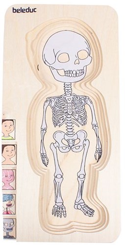 Beleduc Holzpuzzle Junge - Lernspielzeug Körper Anatomie-3