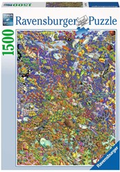 Ravensburger Vele bonte vissen (1500)