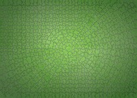 Ravensburger Krypt Puzzle - Neon Green (736)-2