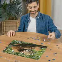 Ravensburger Ravensburger puzzel 500 stukjes 173815-3