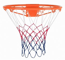 Basketbalring met Net