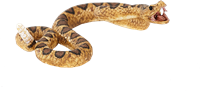 Mojo Wildlife speelgoed Ratelslang - 387268