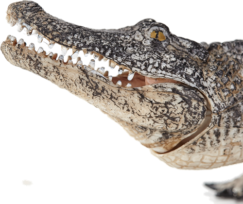 Mojo Wildlife speelgoed Alligator met bewegende kaak - 387168