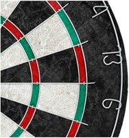 Master Darts Klassiek Dartbord-3