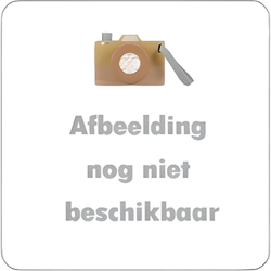 Nijntje Babyrassel Ring Greifling Lucky Blossom rosa Little Dutch