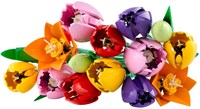 LEGO Botanicals Blumen Bauset Tulpenstrauß Dekoration 11501-2
