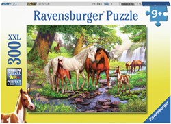 Ravensburger Wildpferde am Fluss