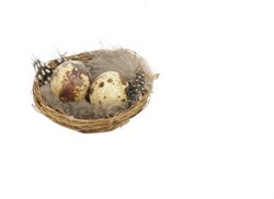 HBX natural living Dekonest mit Eiern und Federn 6 Stück braun Ø7cm